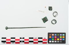 Foto von Kugelkopfnadel (NHMW-PRAE-024820)